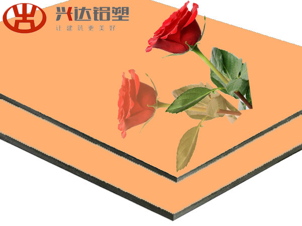 XSJ-882Light Brown Mirror